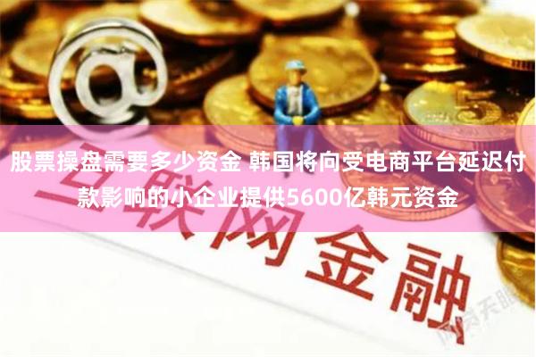 股票操盘需要多少资金 韩国将向受电商平台延迟付款影响的小企业提供5600亿韩元资金