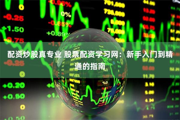 配资炒股真专业 股票配资学习网：新手入门到精通的指南